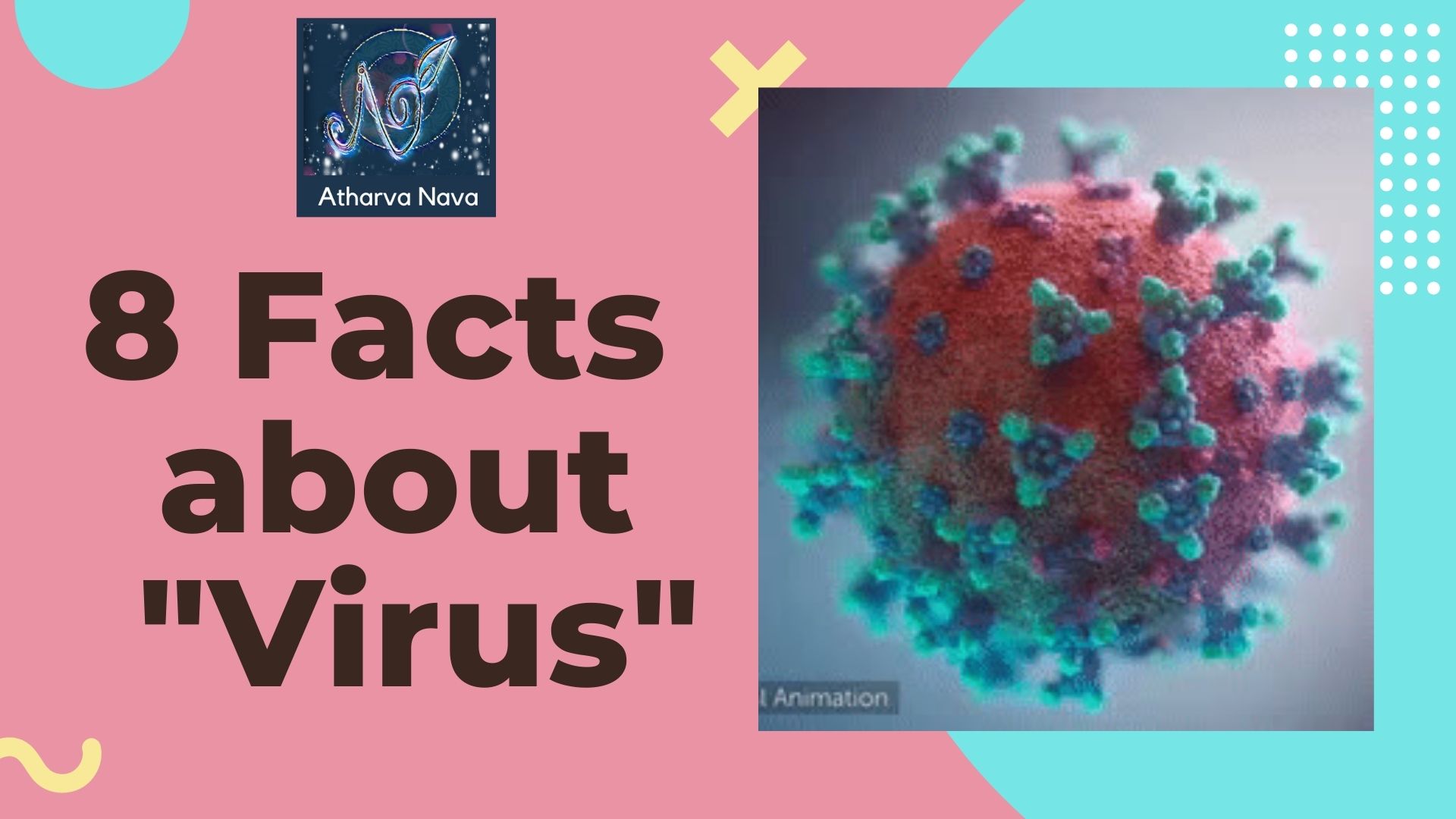 8 Facts about “Virus”